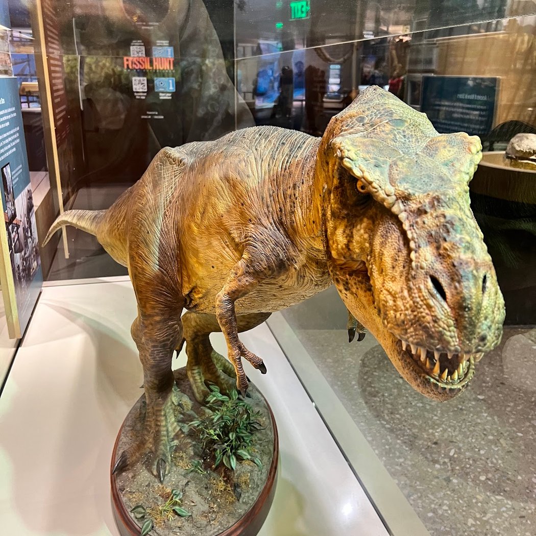 Dino Days 4
